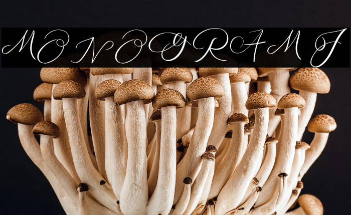 MONOGRAM J Example 2