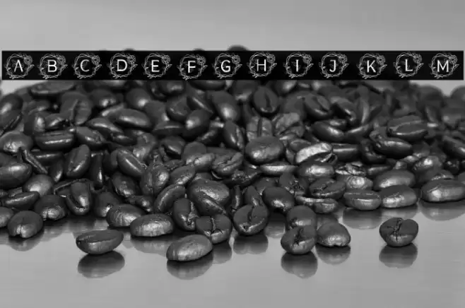 MONOGRAM NATURE Font examples