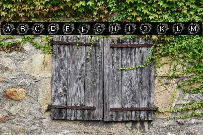 MONOGRAM NATURE Example 3