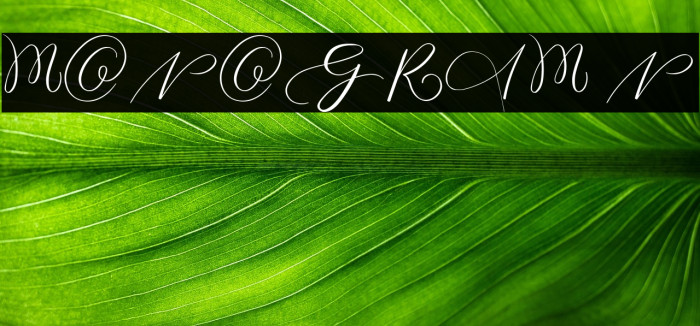 MONOGRAM N Example 1