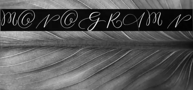 MONOGRAM N Font examples