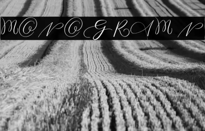 MONOGRAM N Font examples