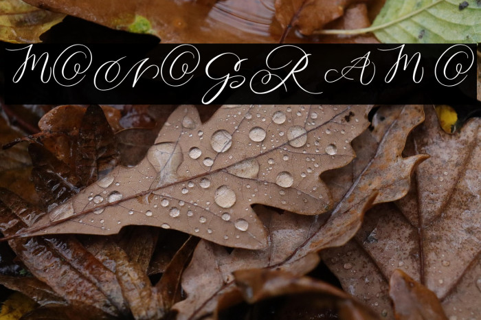 MONOGRAM O Example 2