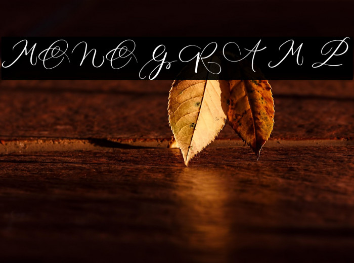 MONOGRAM P Example 1