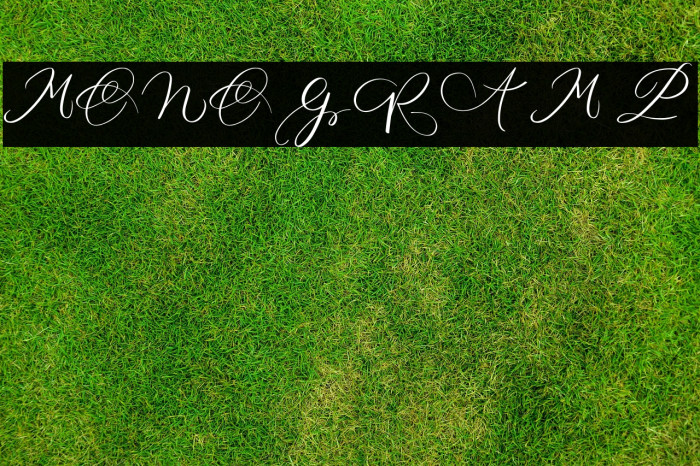 MONOGRAM P Example 2