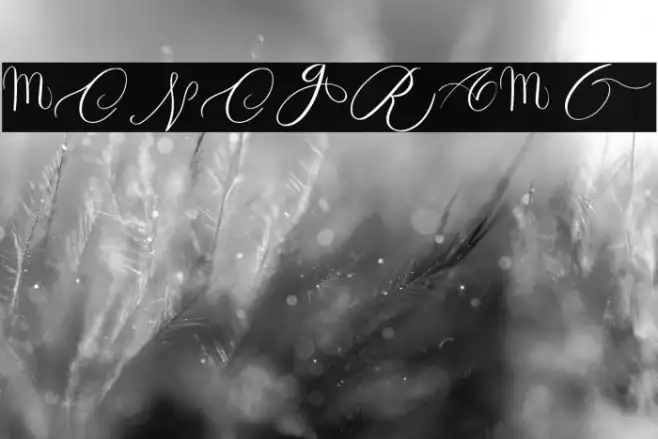 MONOGRAM Q Example 3