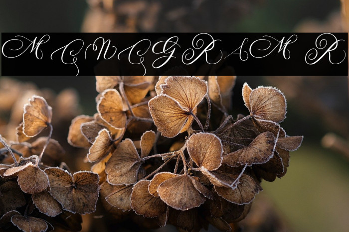 MONOGRAM R Example 1