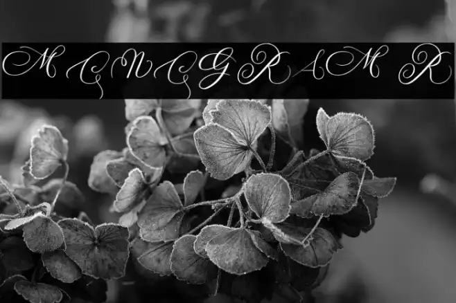 MONOGRAM R Example 1
