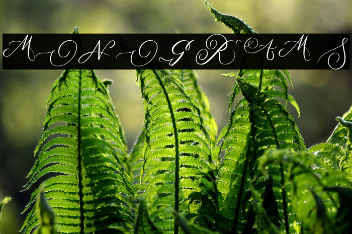 MONOGRAM S Example 2