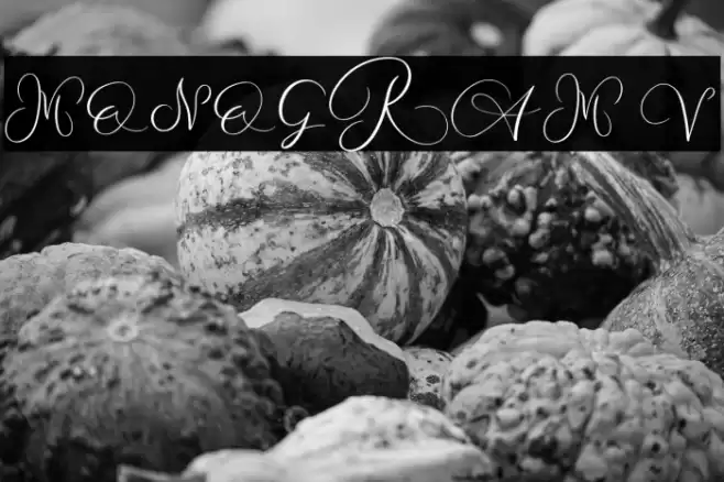 MONOGRAM V Font examples