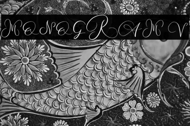 MONOGRAM V Font examples