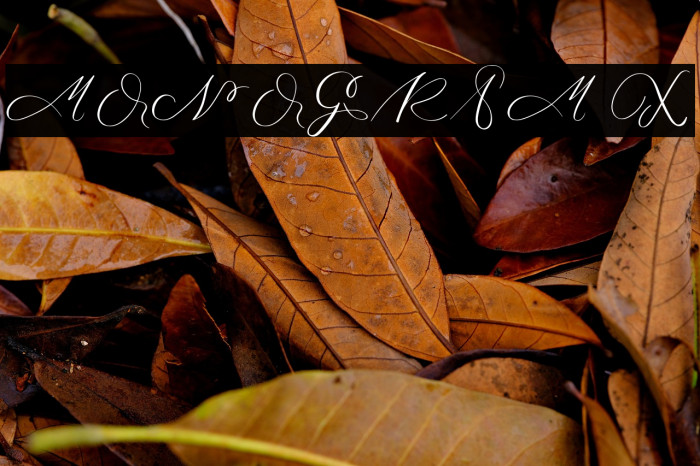 MONOGRAM X Example 3