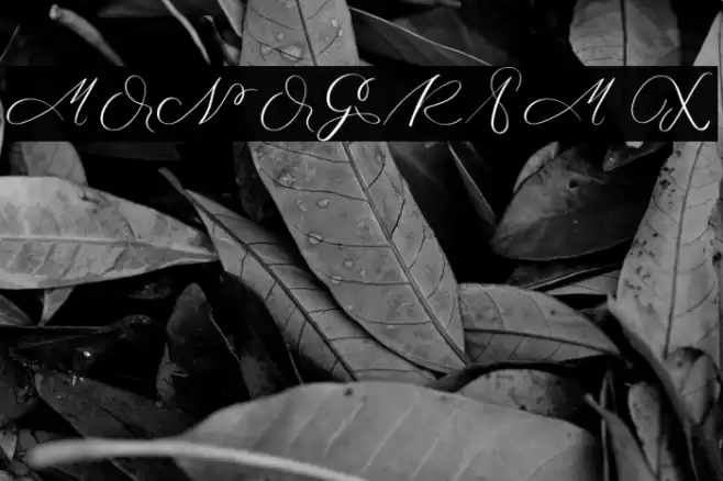 MONOGRAM X Font examples