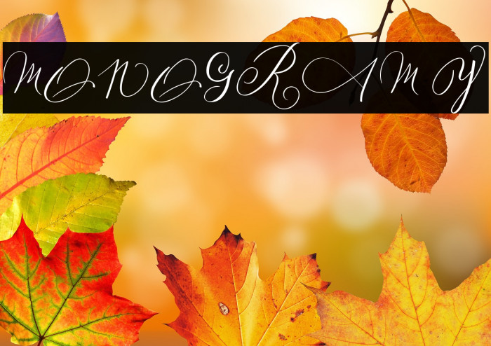 MONOGRAM Y Example 3