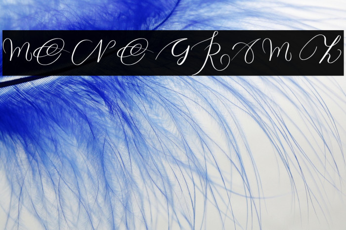 MONOGRAM Z Example 1