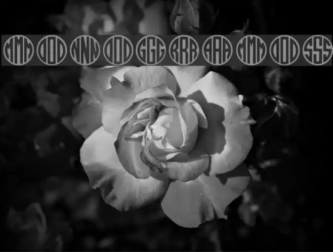 MONOGRAMOS Font examples