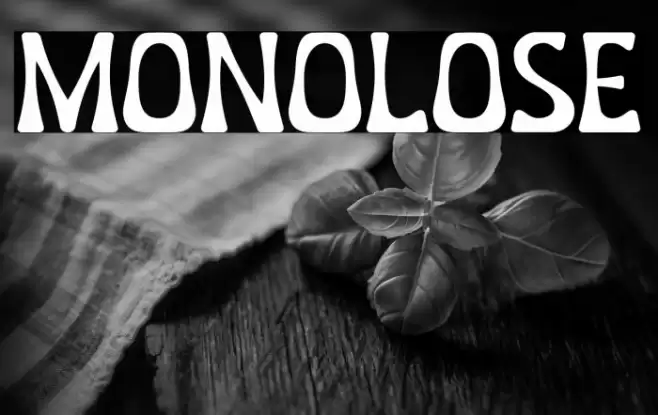 MONOLOSE Font examples