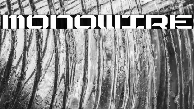 MONOWIRE Example 1