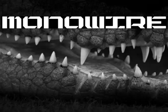 MONOWIRE Example 2