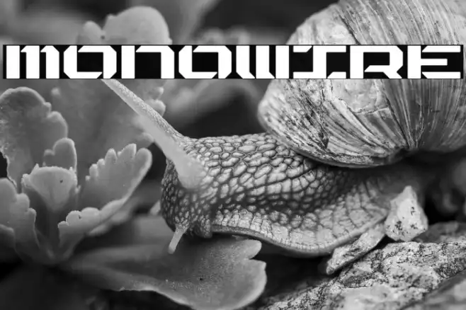 MONOWIRE Example 3