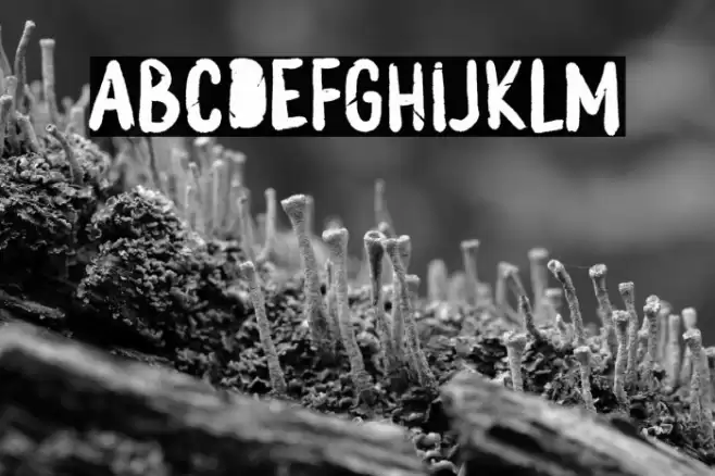 MONSTER BOO Font examples