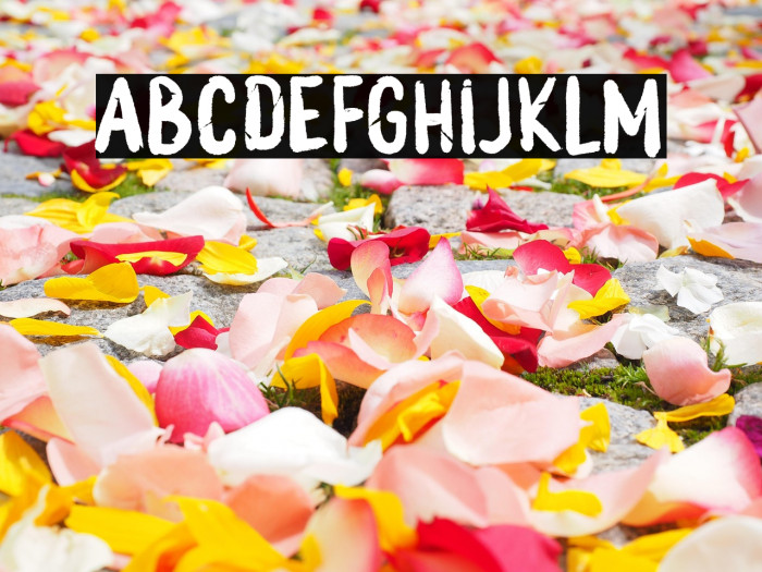 MONSTER BOO Example 2