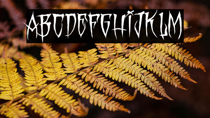 MONSTER PARTY PERSONAL USE Regular Example 1