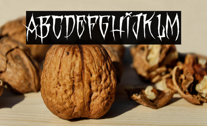 MONSTER PARTY PERSONAL USE Regular Example 3