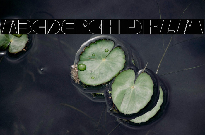 MONSTER ROCK-Hollow Example 2