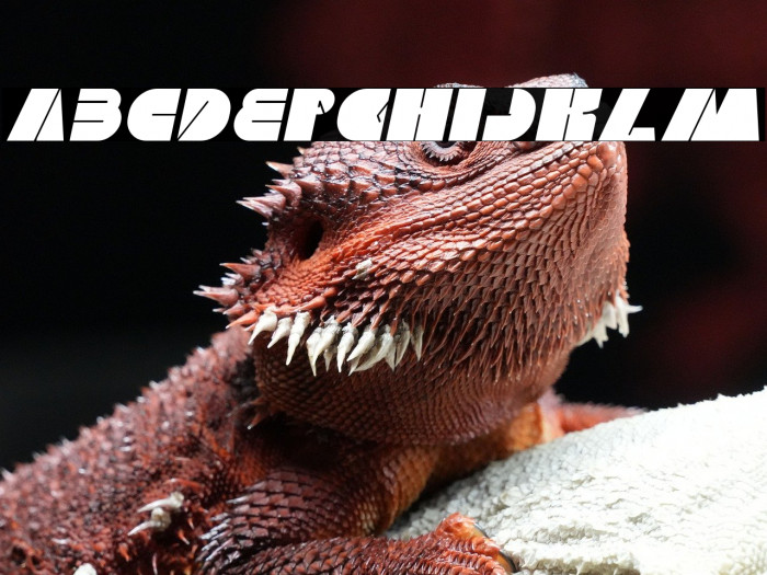 MONSTER ROCK Italic Example 2