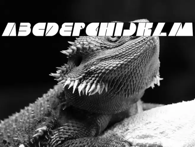 MONSTER ROCK Italic Font examples