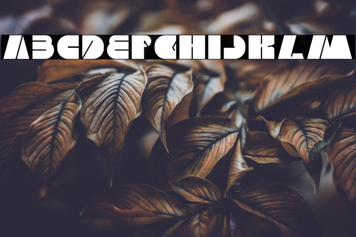 MONSTER ROCK-Light Example 3