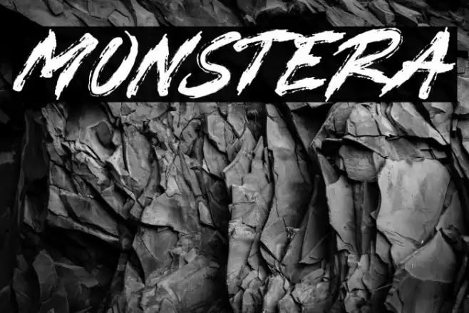 MONSTERA Font examples