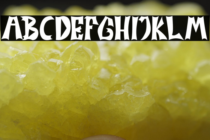 MONSTERNIGHT Example 1