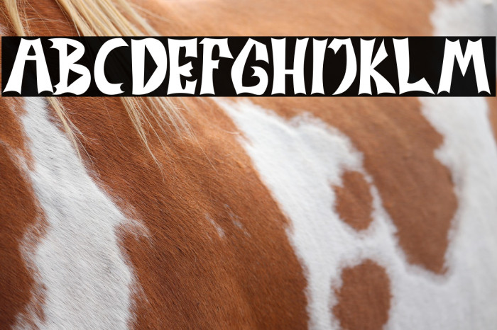 MONSTERNIGHT Example 3