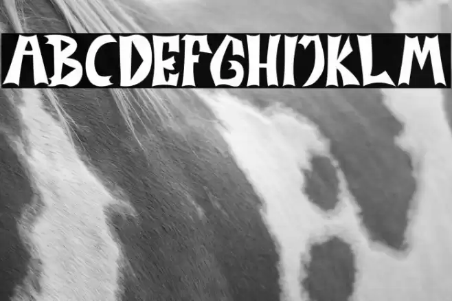 MONSTERNIGHT Font examples