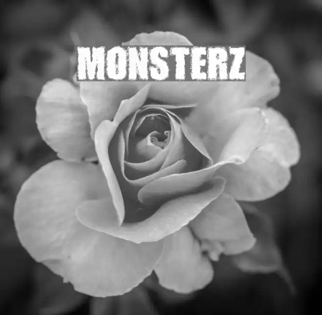 MONSTERZ Font examples