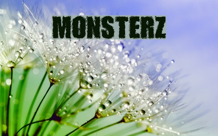 MONSTERZ Example 2
