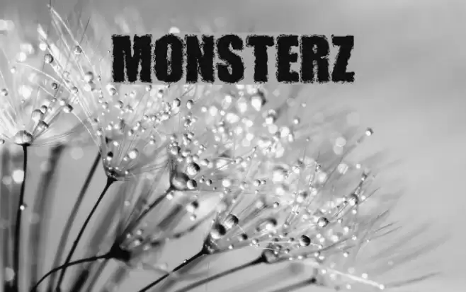 MONSTERZ Font examples