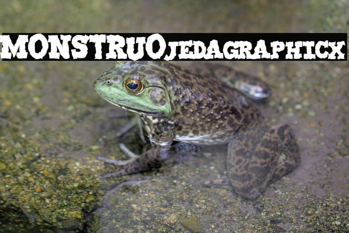 MONSTRUO-jedagraphicx Example 2