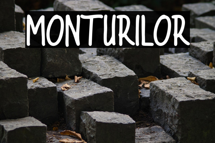 MONTURILOR Example 1