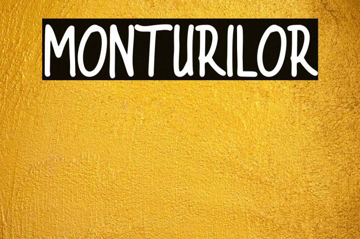 MONTURILOR Example 2
