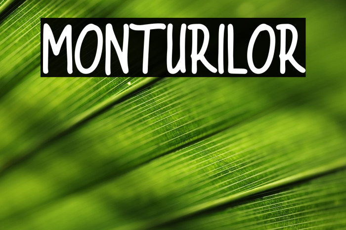 MONTURILOR Example 3