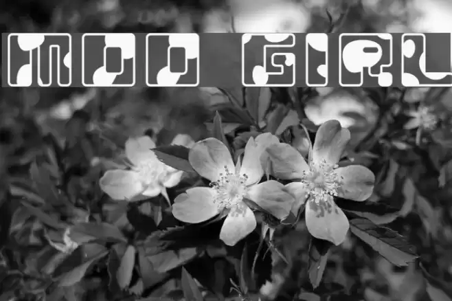 MOO GIRL Font examples