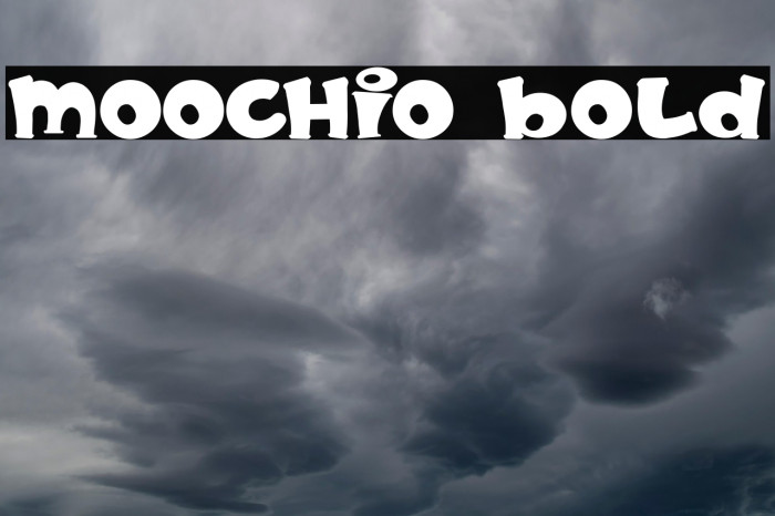 MOOCHIO Bold Example 1