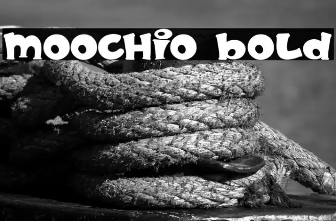 MOOCHIO Bold Font examples