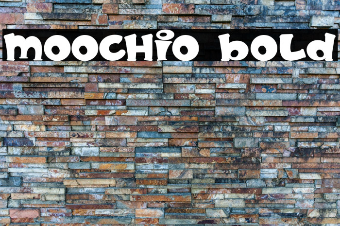 MOOCHIO Bold Example 3