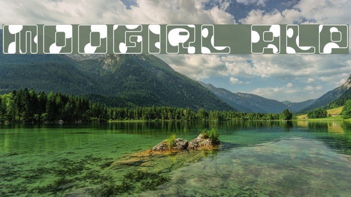 MOOGIRL ALP Font examples