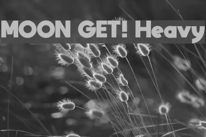 MOON GET! Heavy Font examples
