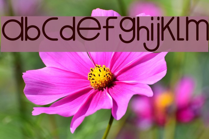 MOON KNIGHT Font examples